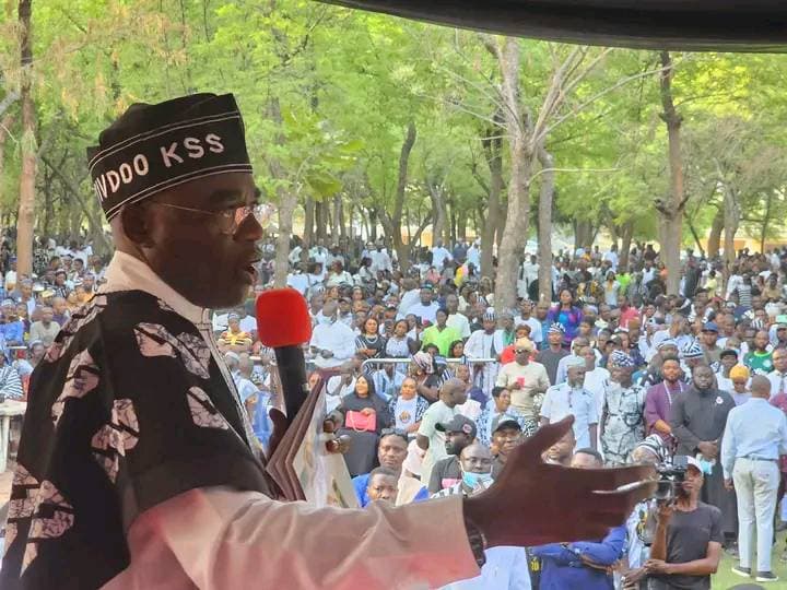 KSS Festival Image 3